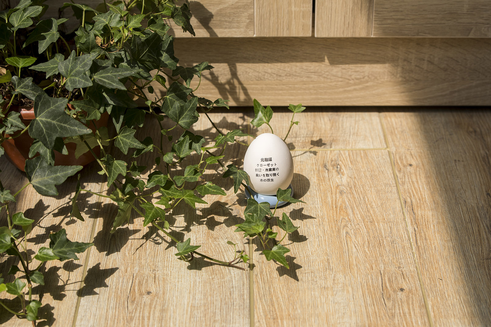 新利体育·(luck18)官方网站-App Store