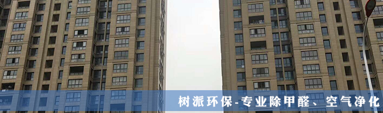 除甲醛案例-星河湾