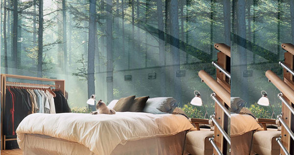 新利体育(luck18)资讯-室内空气环境