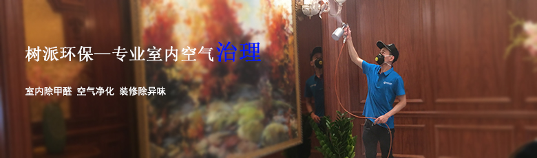 上海新利体育(luck18)环保-家庭除甲醛